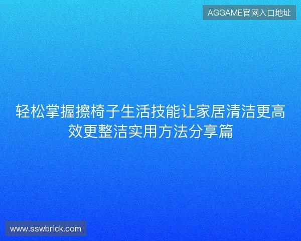 轻松掌握擦椅子生活技能让家居清洁更高效更整洁实用方法分享篇